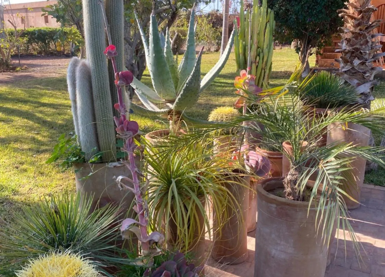 Villa Les Portes De L'Atlas - Marrakech Marakéš Maroko